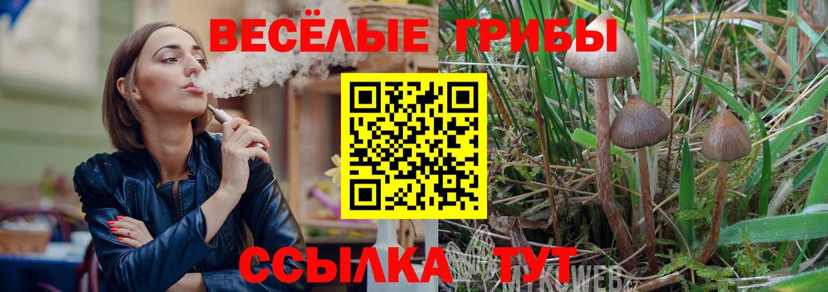 Галлюциногенные грибы ЛСД  Вход с VPN  Россия  наркотики  Галлюциногенные грибы Psilocybe 